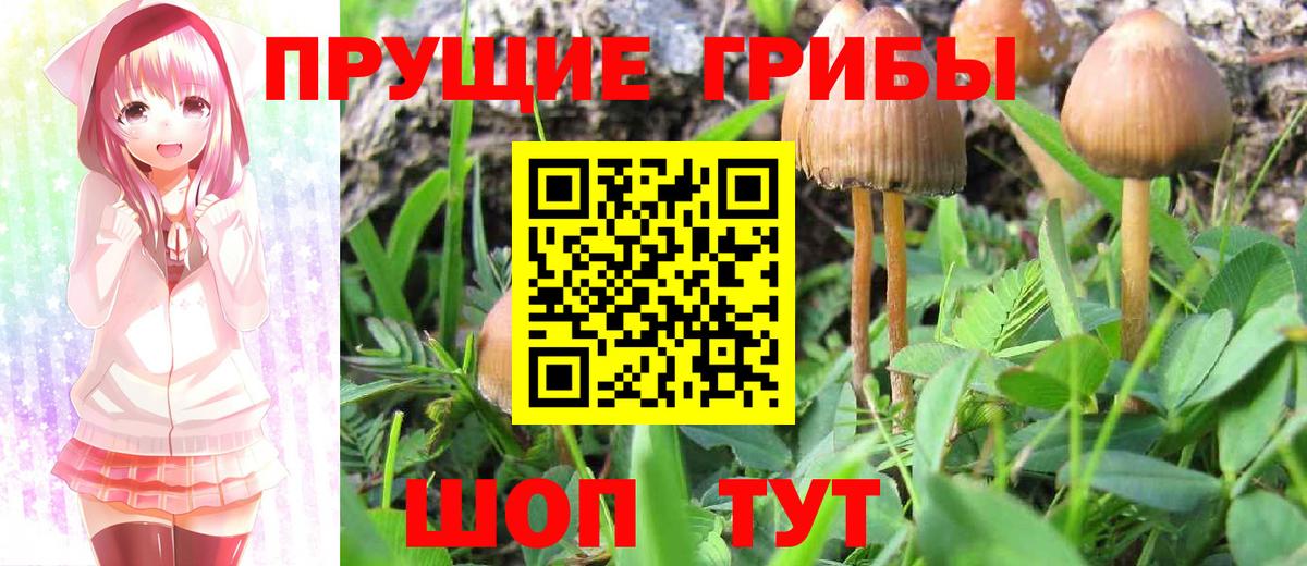 Псилоцибиновые грибы мухоморы  Вход с VPN  Пушкино  Псилоцибиновые грибы мицелий 